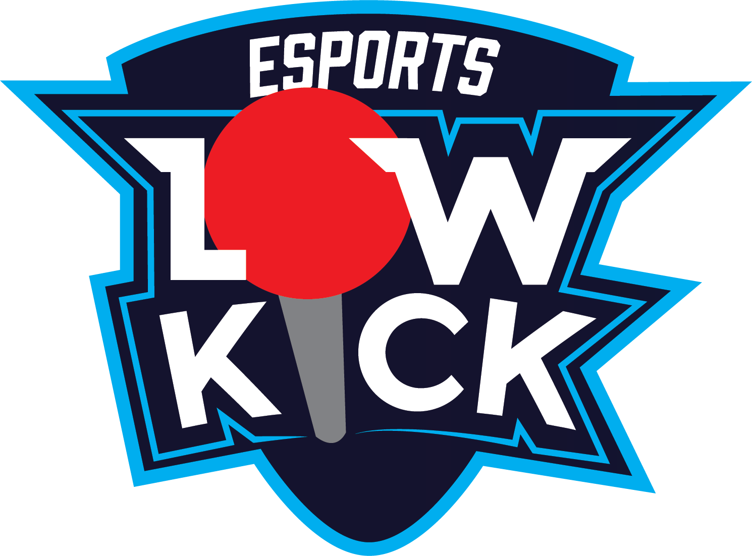 Low Kick Esports
